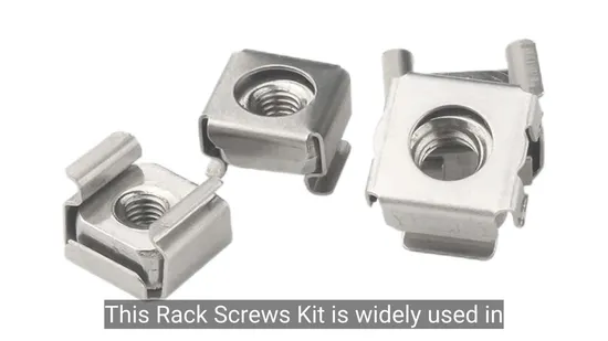 Premium Custom 304 Stainless Steel M4 M6 M8 Cage Nuts